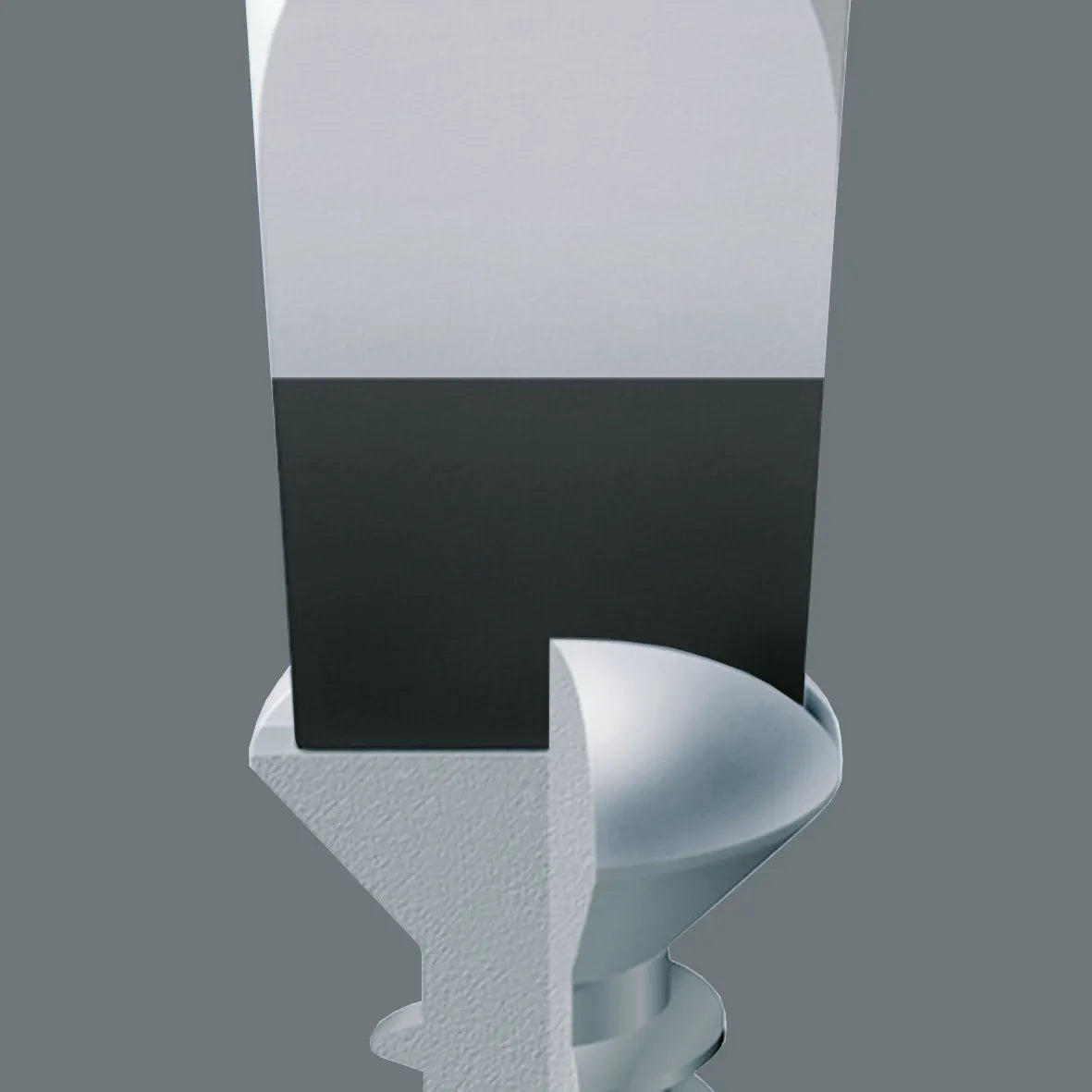 Close-up of a Wera Black Point screwdriver tip seated precisely inside a slotted screw head for corrosion resistance and grip.