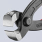 Knipex Ear Clamp Pliers 8 3/4" 10 98 I220 - Mr. Tools